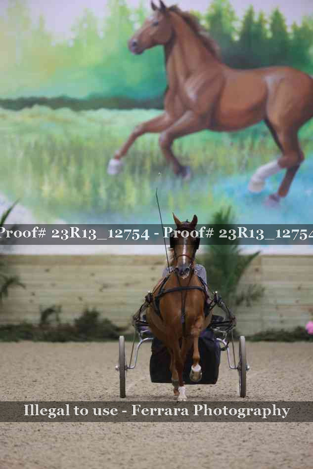 Proof 23R13_12754