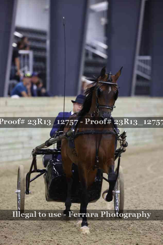 Proof 23R13_12757