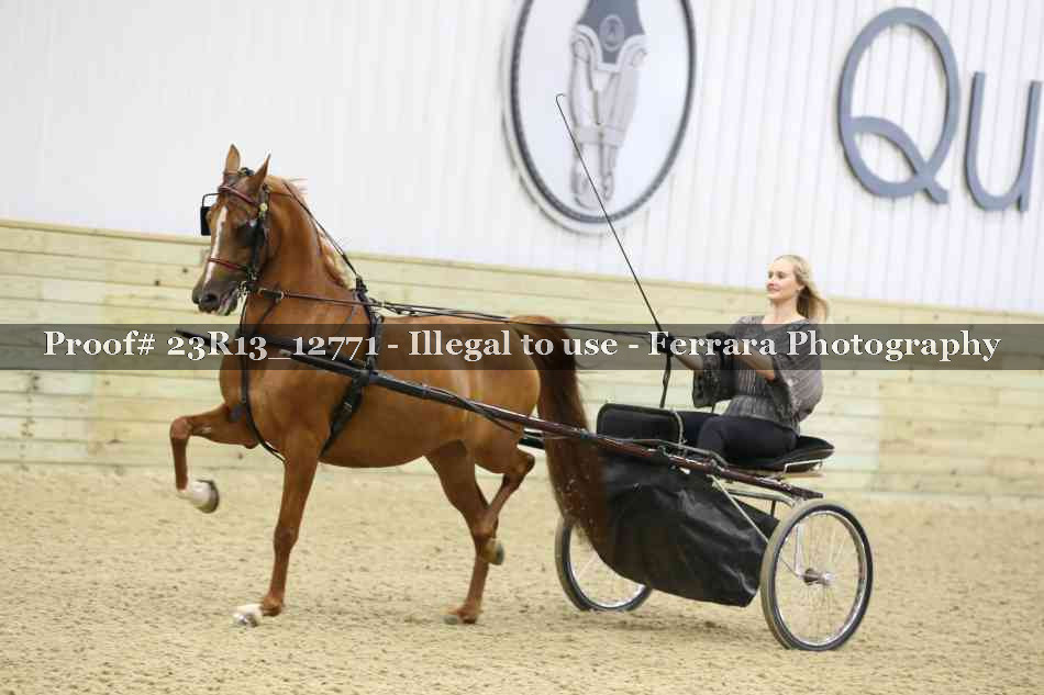Proof 23R13_12771