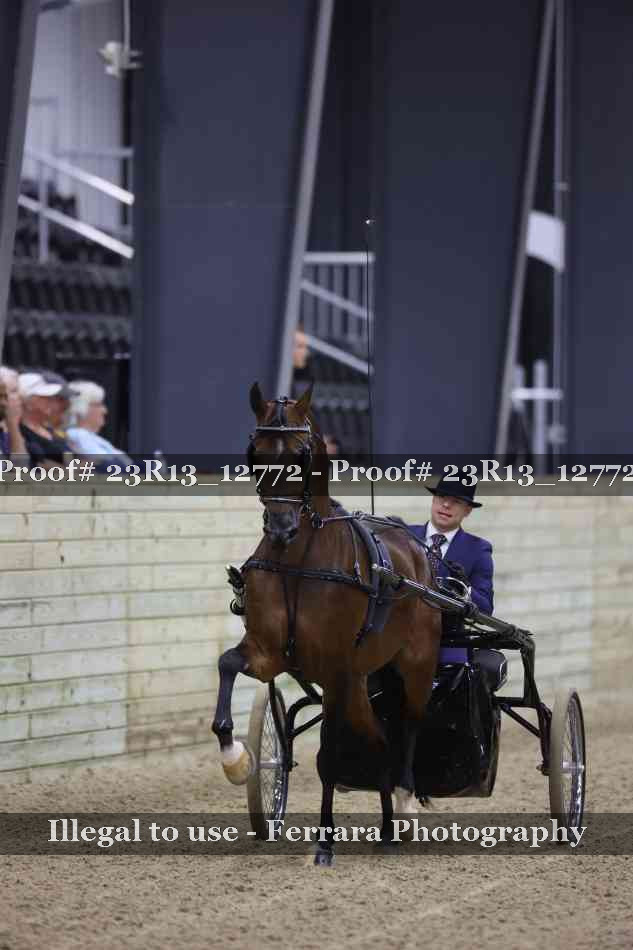 Proof 23R13_12772