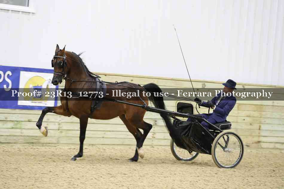 Proof 23R13_12773