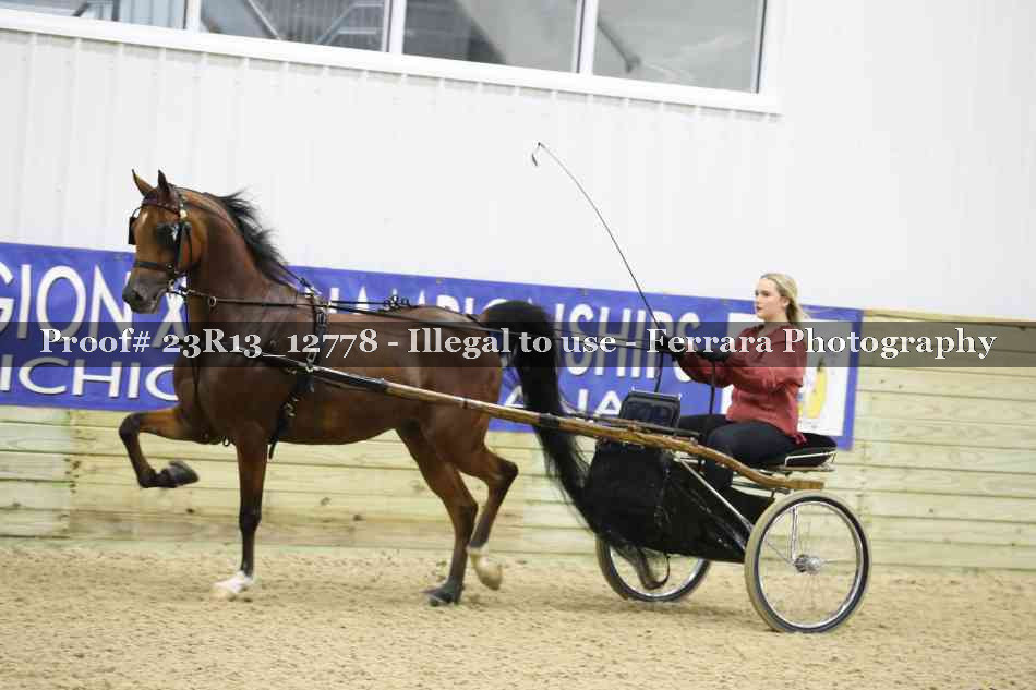 Proof 23R13_12778