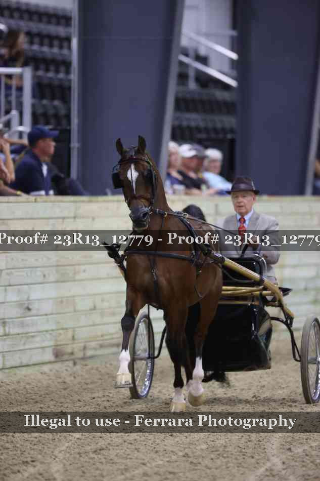 Proof 23R13_12779
