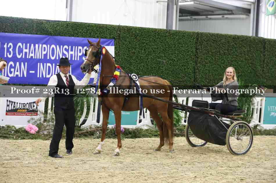 Proof 23R13_12784