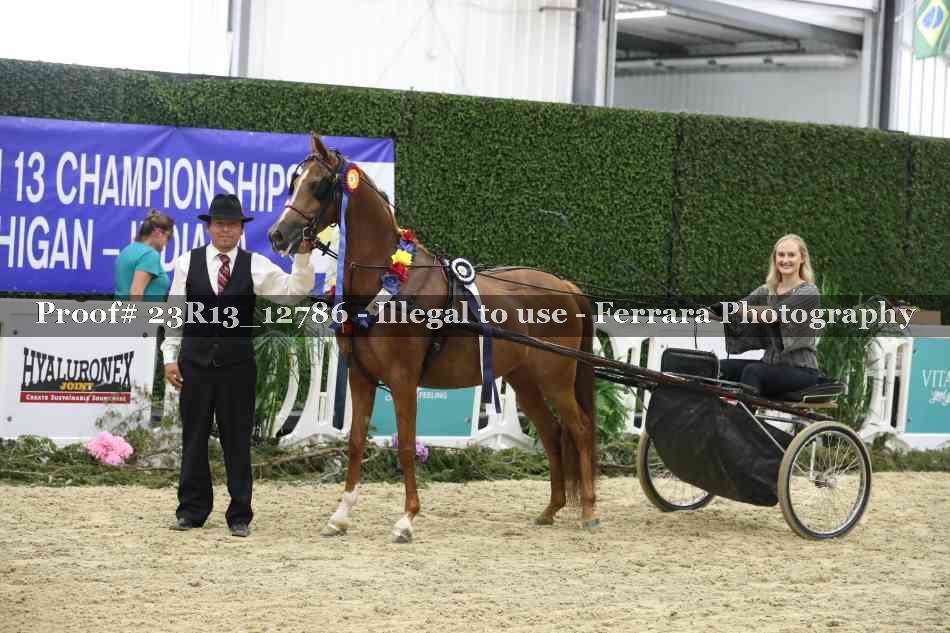 Proof 23R13_12786