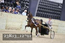 23R13_12791 proof