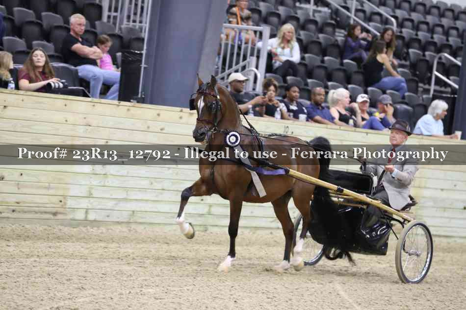 Proof 23R13_12792