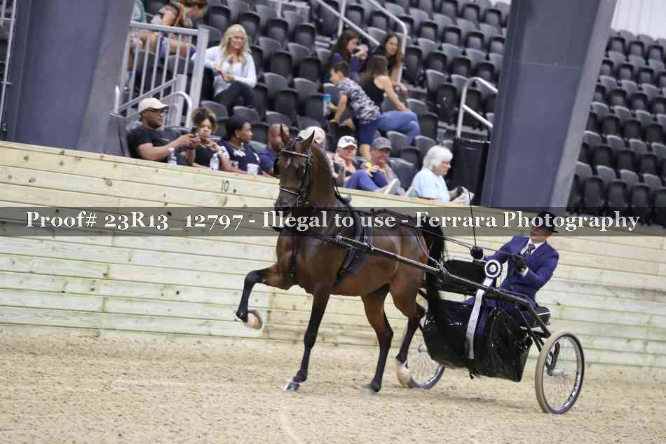 Proof 23R13_12797
