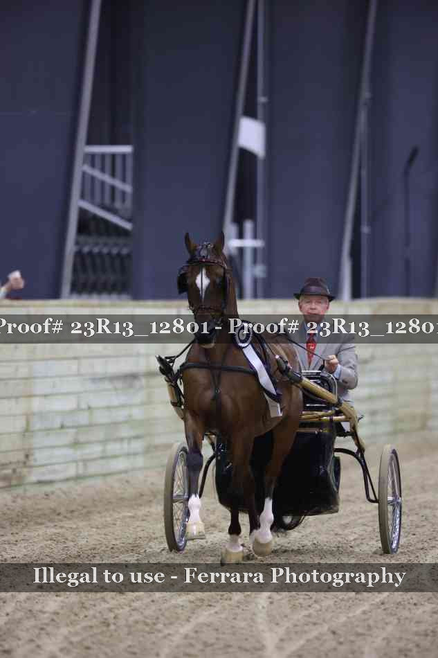 Proof 23R13_12801