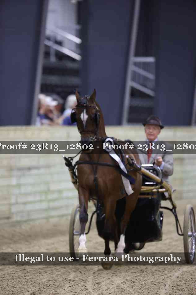 Proof 23R13_12802