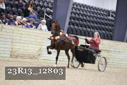 23R13_12803 proof