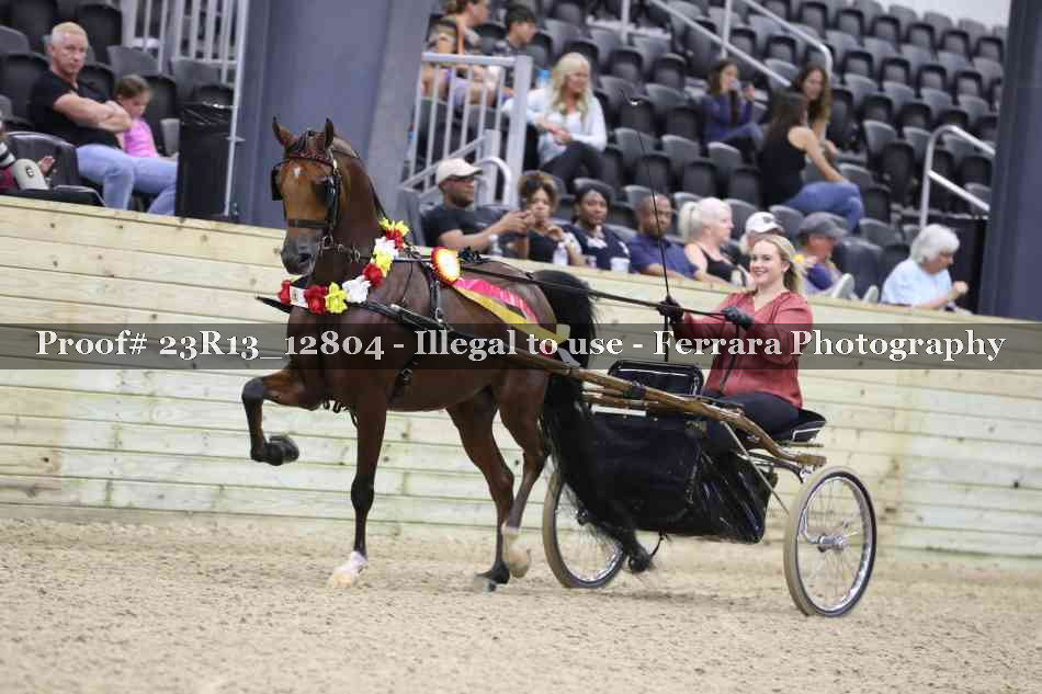Proof 23R13_12804