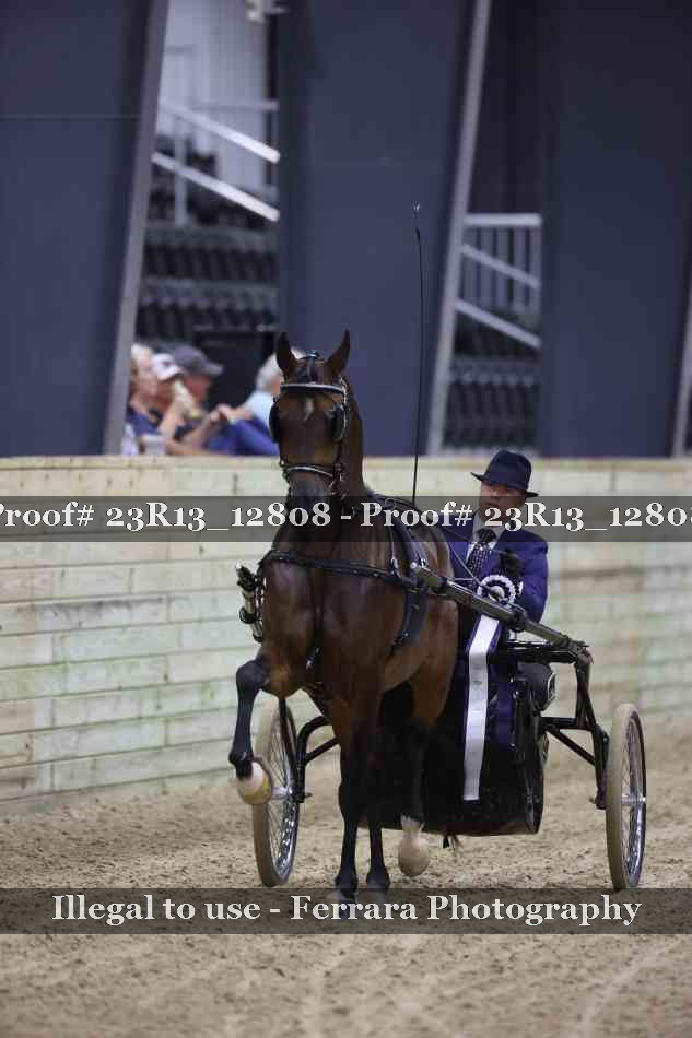 Proof 23R13_12808