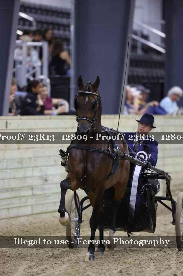 Proof 23R13_12809