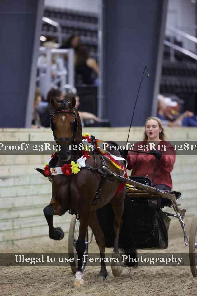 Proof 23R13_12813
