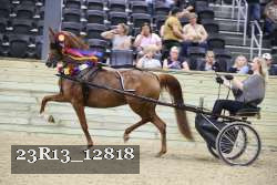 23R13_12818 proof