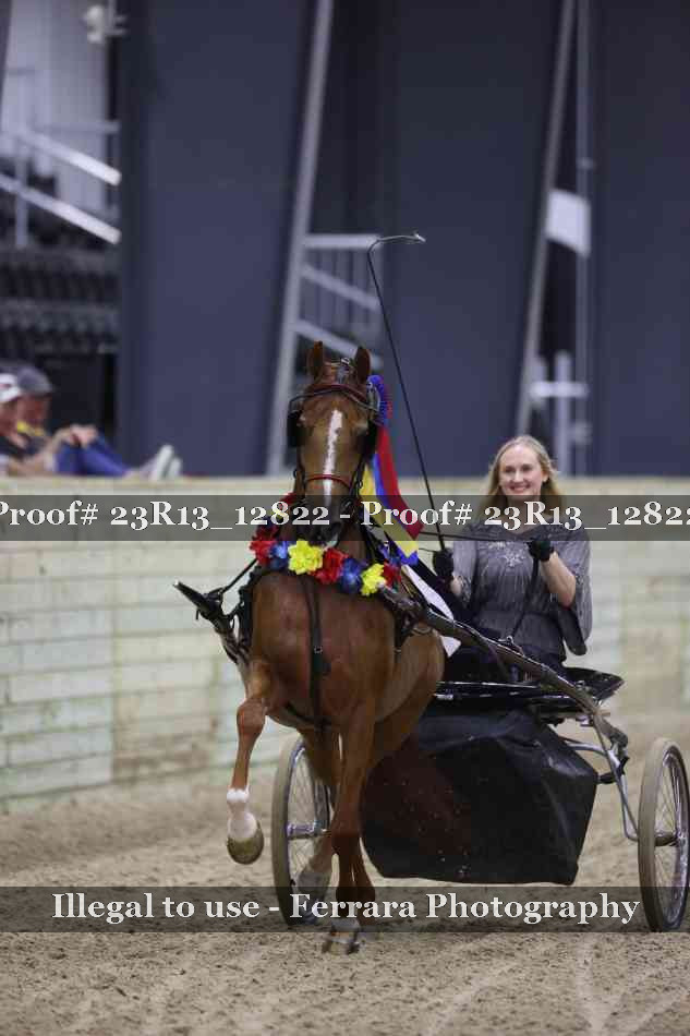 Proof 23R13_12822
