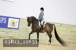 23R13_12853 proof