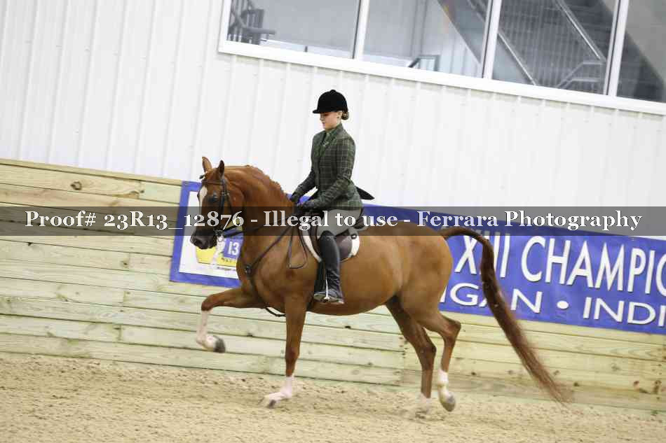 Proof 23R13_12876