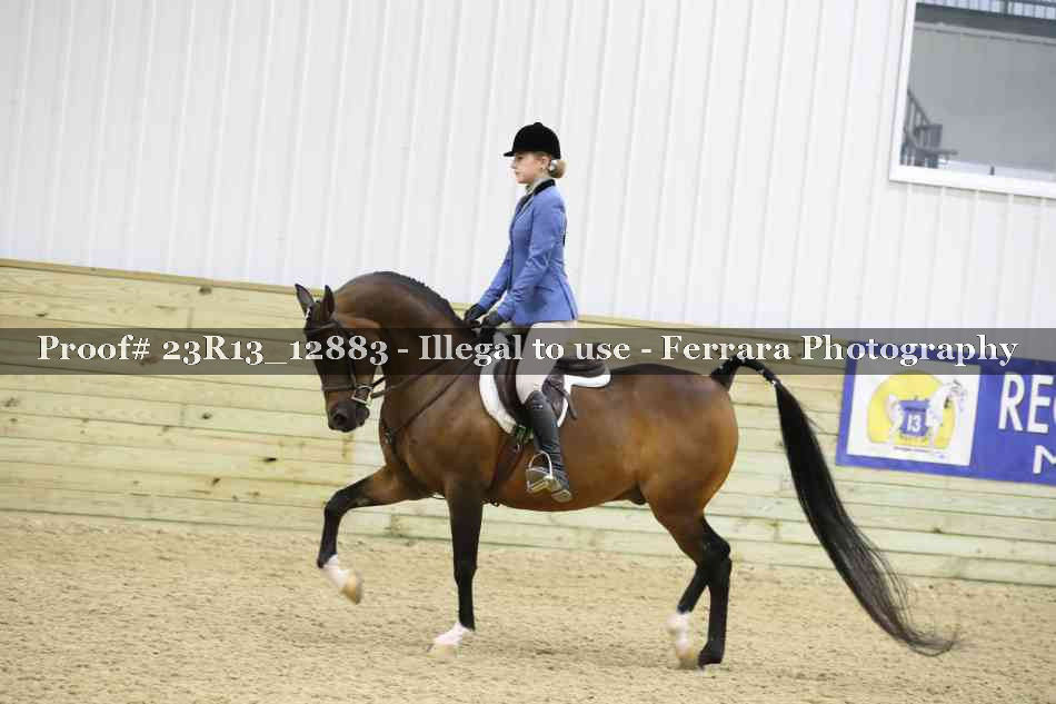 Proof 23R13_12883