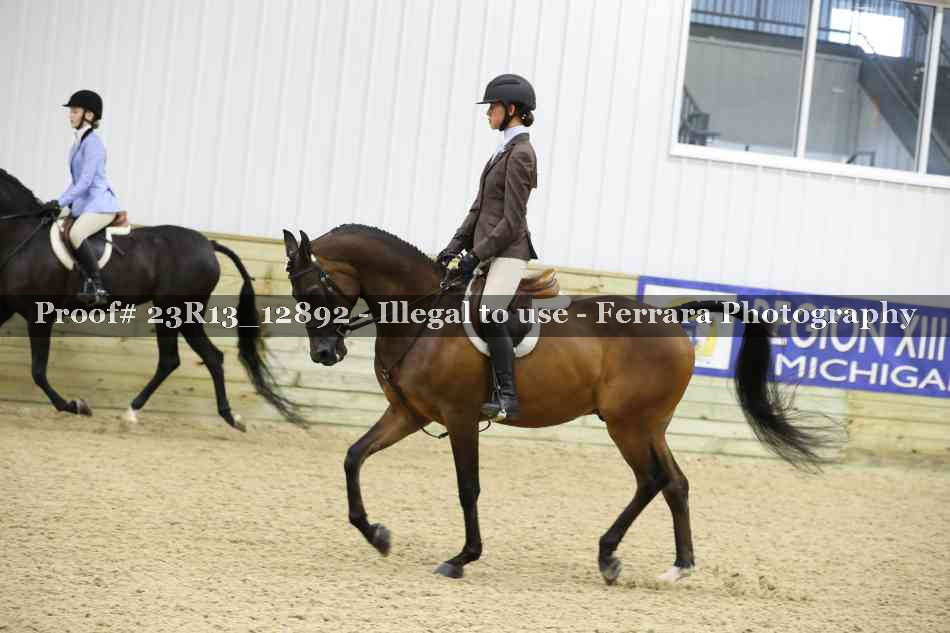 Proof 23R13_12892