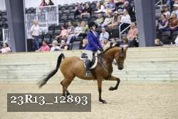 23R13_12893 proof