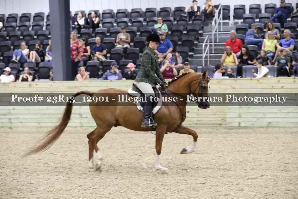 Proof 23R13_12901