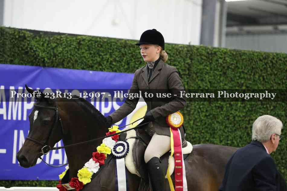 Proof 23R13_12907