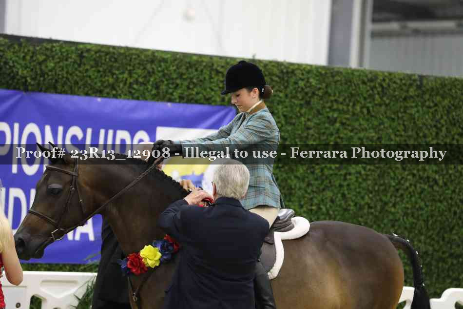 Proof 23R13_12908