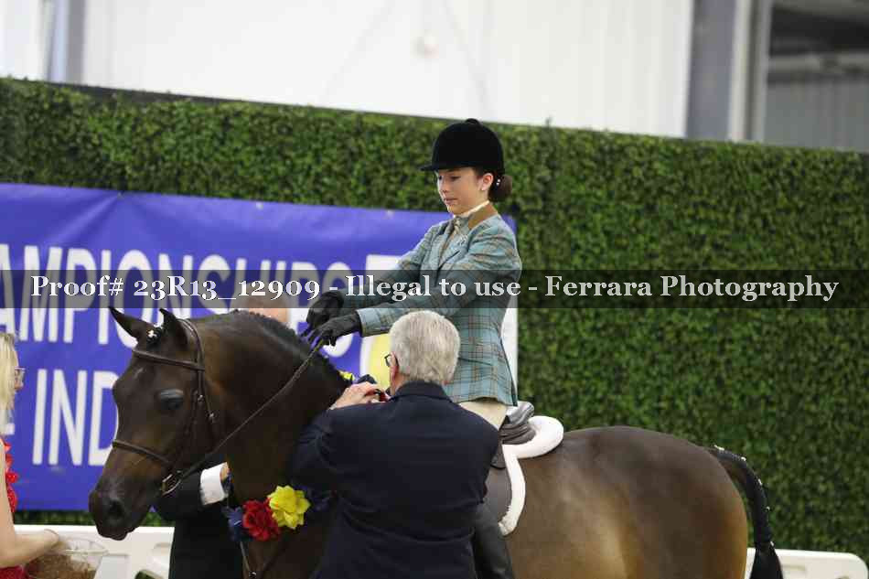 Proof 23R13_12909