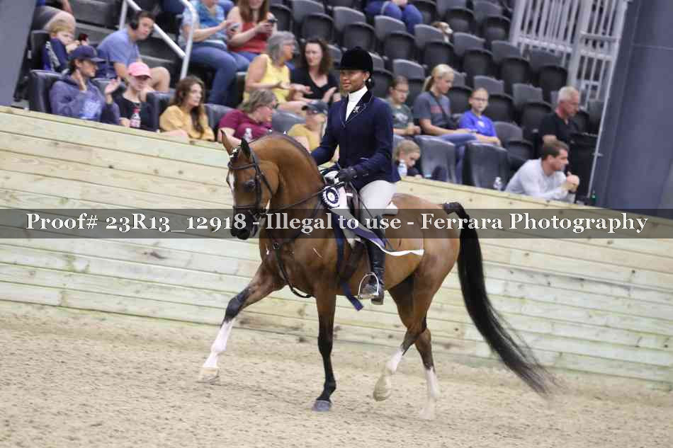 Proof 23R13_12918