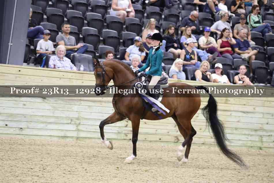 Proof 23R13_12928