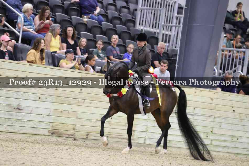 Proof 23R13_12929