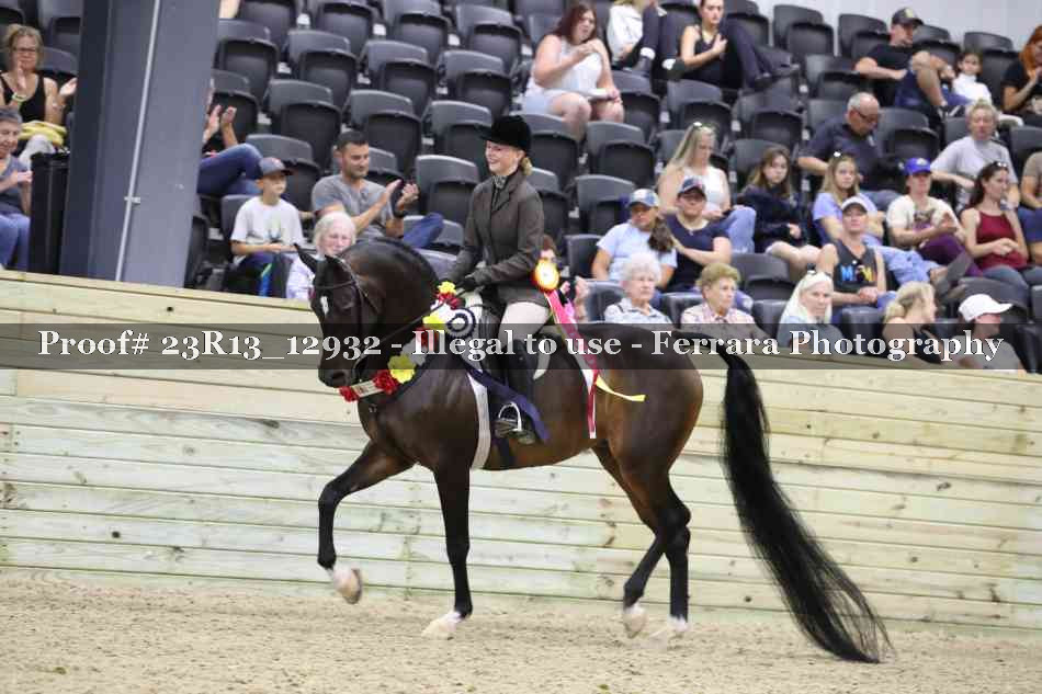 Proof 23R13_12932