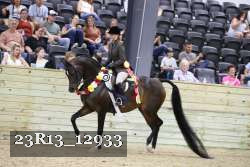 23R13_12933 proof