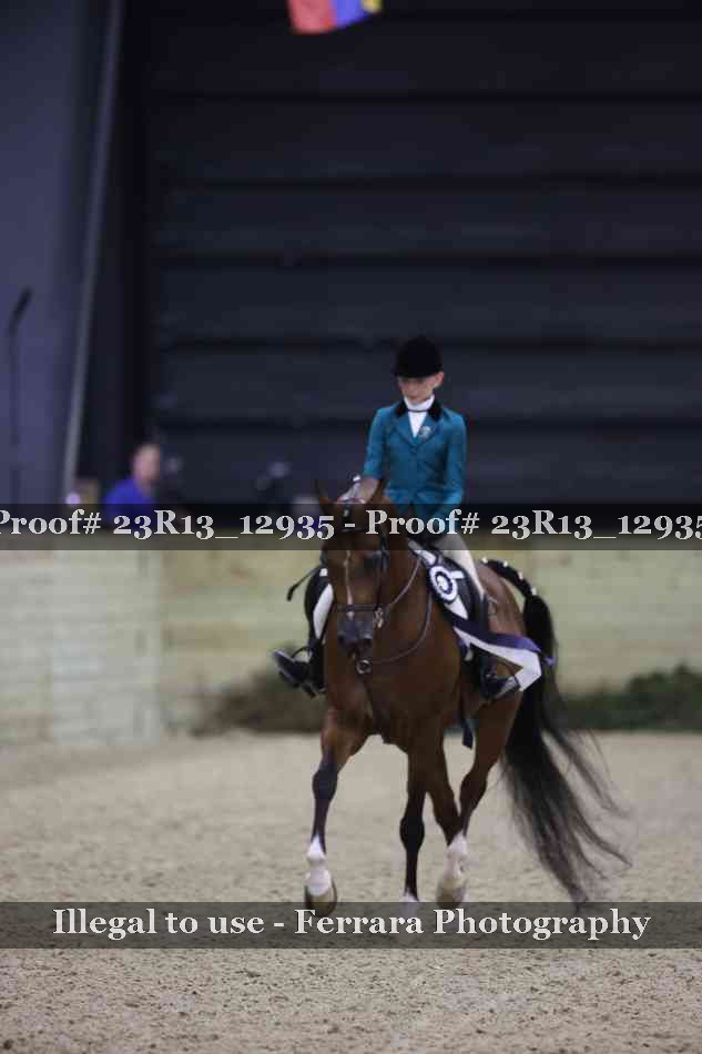 Proof 23R13_12935