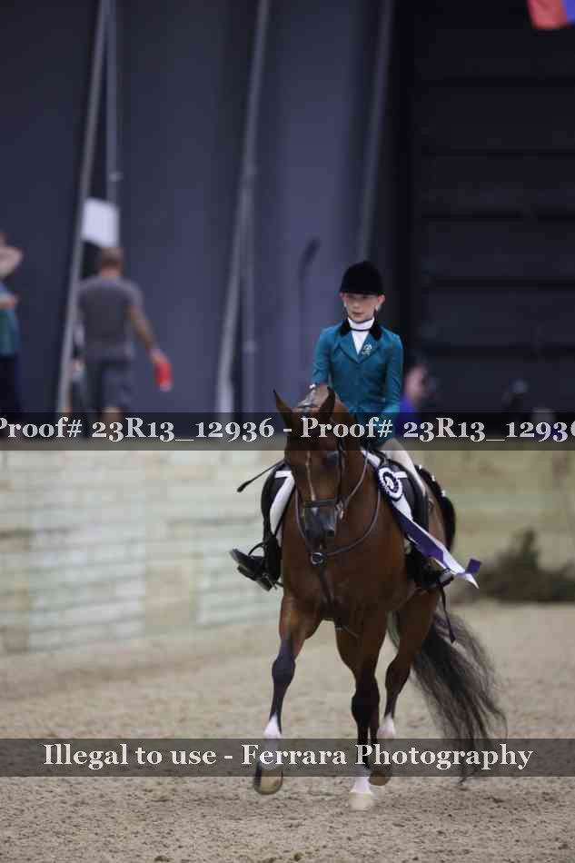 Proof 23R13_12936