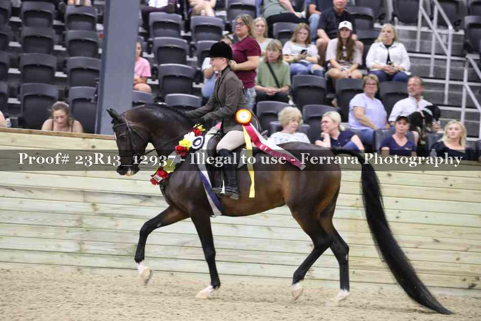 Proof 23R13_12937
