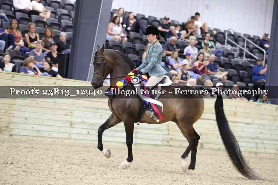 Proof 23R13_12940