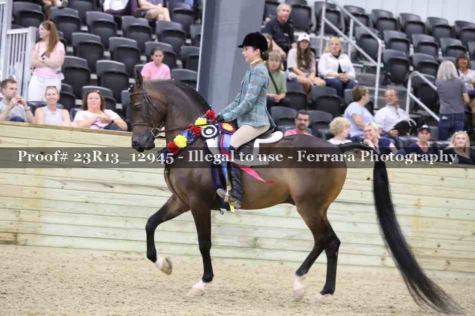 Proof 23R13_12945