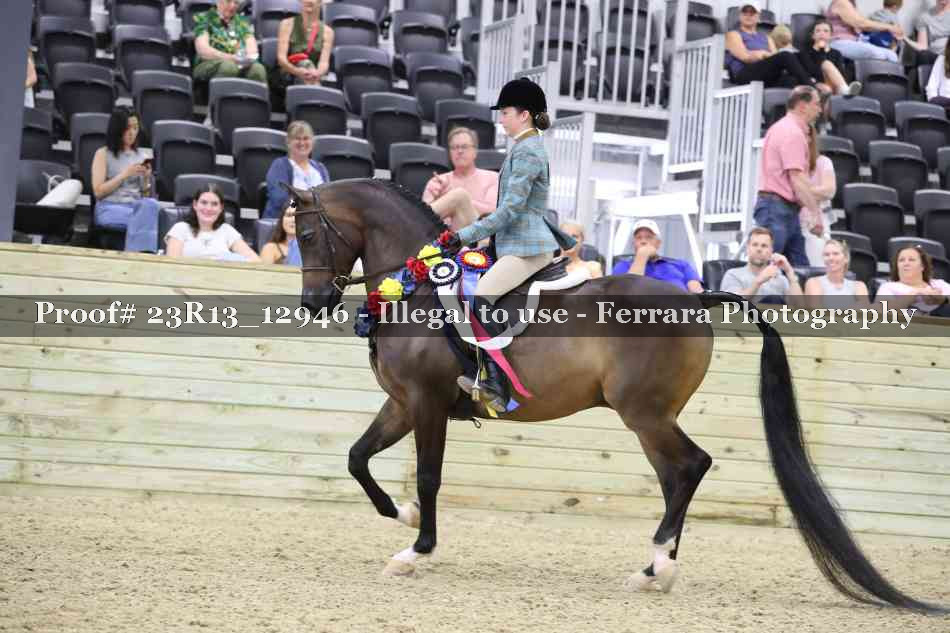 Proof 23R13_12946