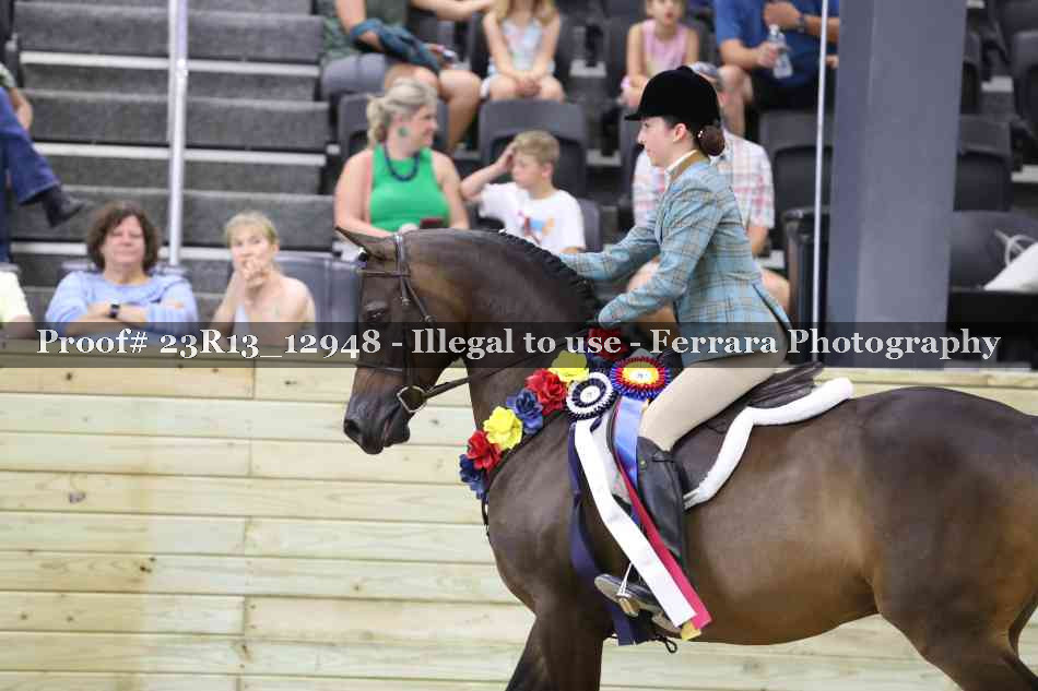 Proof 23R13_12948