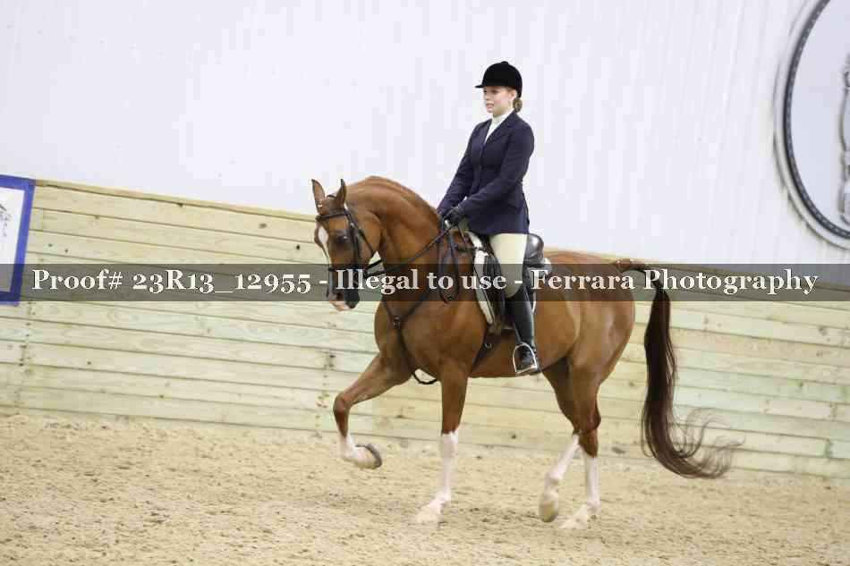 Proof 23R13_12955