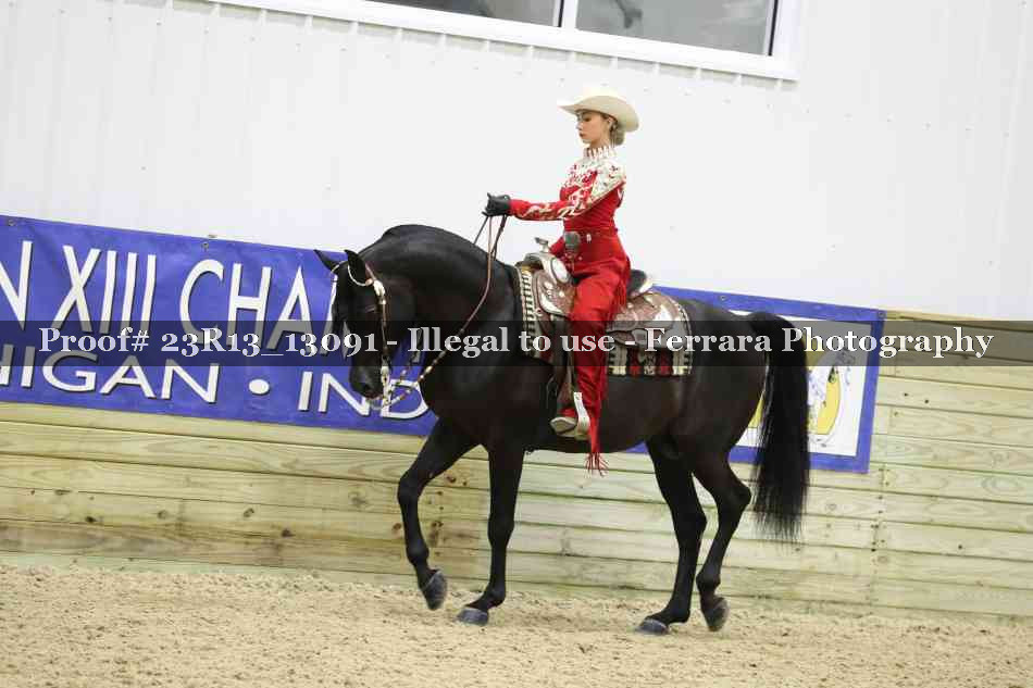 Proof 23R13_13091