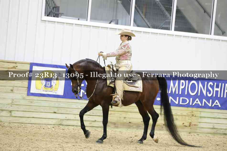 Proof 23R13_13095
