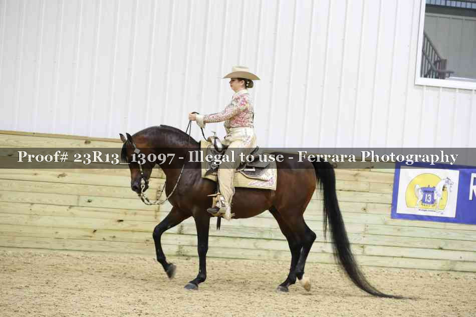 Proof 23R13_13097
