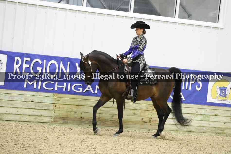 Proof 23R13_13098