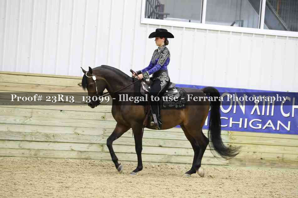 Proof 23R13_13099