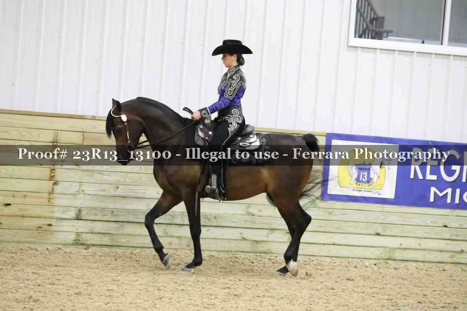 Proof 23R13_13100