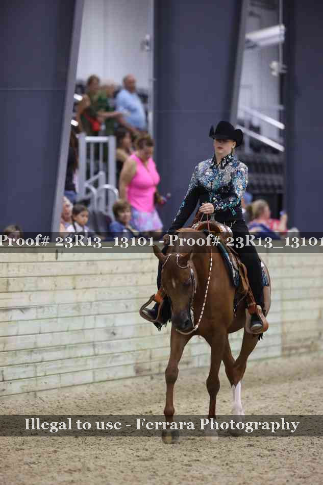 Proof 23R13_13101